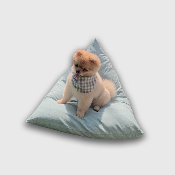 트링글 강아지 고양이 빈백 방석-민트 (구매는 더펫츠 방석 1번 [컬러모음]에서 해주세요)