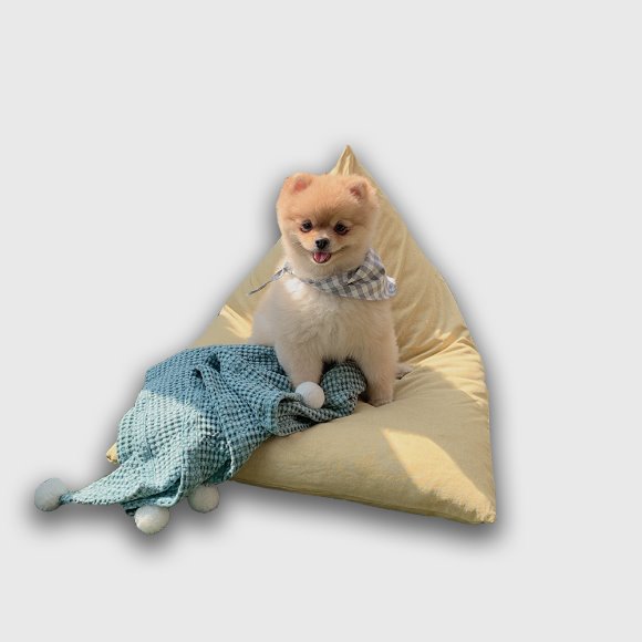 트링글 강아지 고양이 빈백 방석-옐로우  (구매는 더펫츠 방석 1번 [컬러모음]에서 해주세요)